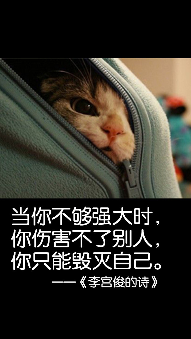 三行情书获奖作品三行情诗三行诗李宫俊三行情书第一名三行情书大全