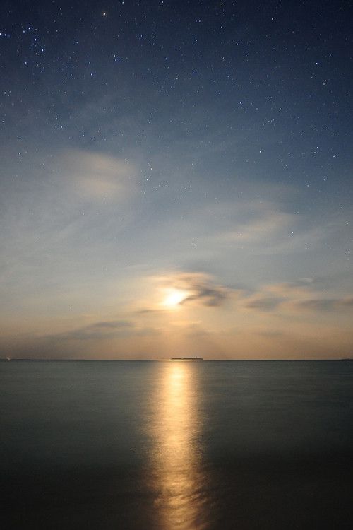 放空大口呼吸。把最后的一抹思念都吹走。 一个在雨天浅浅唱歌等待末班车的女孩，一个在雨天哼着她于他的回忆会落泪的女孩。(读后感 www.duyougan.com ) 这样落魄的我 要有多坚强才能释怀你们给的伤痛 我只是小世界的小女人,而你早已是花花世界的VIP, 门不当户不对。 给不了我温暖富足的生活就别对我许承诺 我爱上了酒精的麻痹,烟雾的缭绕 不是爱不起,只是伤不起 竭斯底里地笑着,笑到最后只剩下了苟延残喘 过去的一页，能不翻就不要翻，翻落了灰尘会迷了双眼。 如果你无法忘掉昨天，就不会有一个更好的明天。 能伤我最深的人,偏得我心. 你是一个梦,却有真实的痛. 每个人总是爱着自己爱的人,却错过