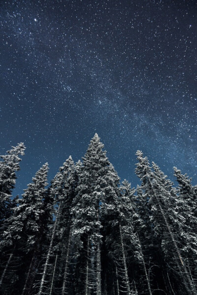 Mikko Lagerstedt来自芬兰，是一名自学成才的摄影师。Mikko Lagerstedt从2008年12月才开始接触摄影，他着迷于夜空和迷雾，喜欢拍摄芬兰广阔的自然景象，目标是透过摄影来捕捉当下的情感，定格那一瞬间的心境。