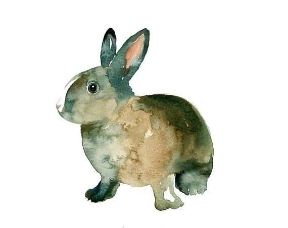 2307610961072379水彩小动物byirene意大利