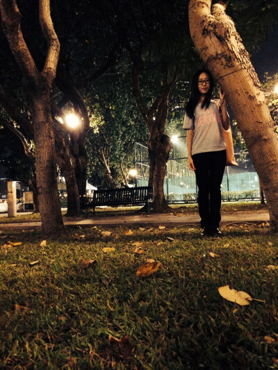 秋。 本相冊全由本人所拍攝。