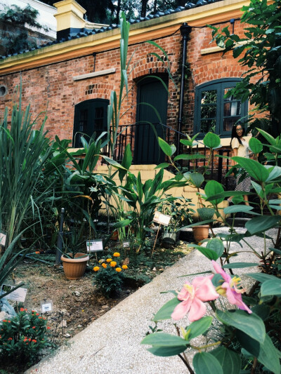 秋。 本相冊全由本人所拍攝。