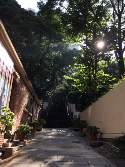 秋。 本相冊全由本人所拍攝。