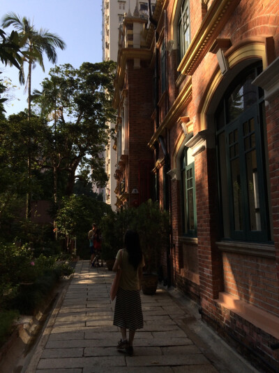 秋。 本相冊全由本人所拍攝。