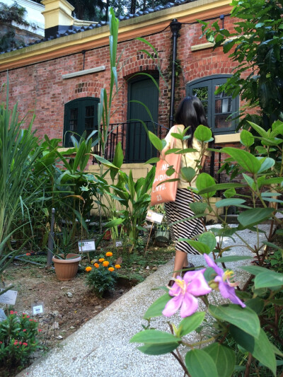 秋。 本相冊全由本人所拍攝。