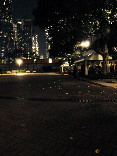 秋。 本相冊全由本人所拍攝。