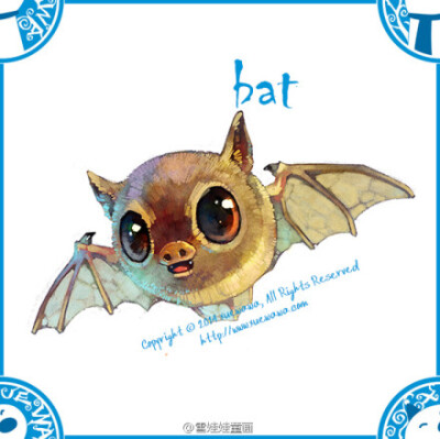 萌宠第十一辑——蝙蝠