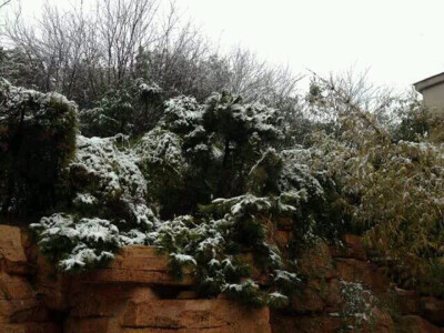 就像当初爱你，没有什么目的，只是爱你。——长沙最后一场雪印象