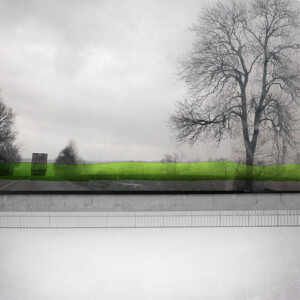 Fabienne Rivory作品