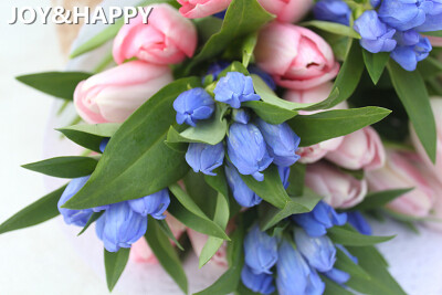 带着阳光味道的花束，很温柔的粉色郁金香加上蓝色的日本龙胆花，它一定就像是被甜美的梦境包裹，需要在两个相互交织的世界里寻找答案。日复一日的梦想，是时候走进那个一尘不染的世界。