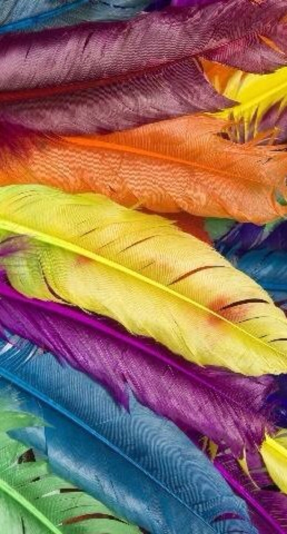 炫彩色彩彩虹壁纸iphone6全新一轮炫彩壁纸告诉你什么叫做真幻彩希望