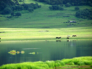 消失的地平线。