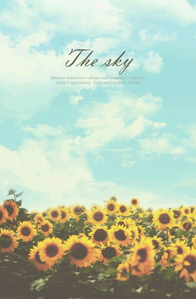 你的头像一片向日葵