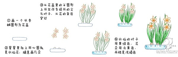 鸟酱的花草绘本教程