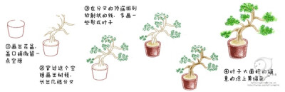 鸟酱的花草绘本教程