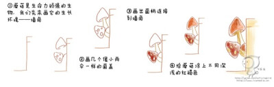 鸟酱的花草绘本教程