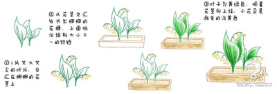 鸟酱的花草绘本教程