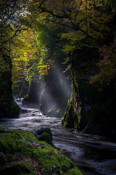 Fairy Glen, Conwy, North Wales