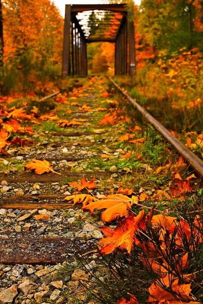 Rail Bridge, Vancouver, British Columbia, Canada