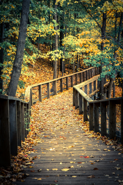 Autumn, Sherwood Park, Toronto, Canada