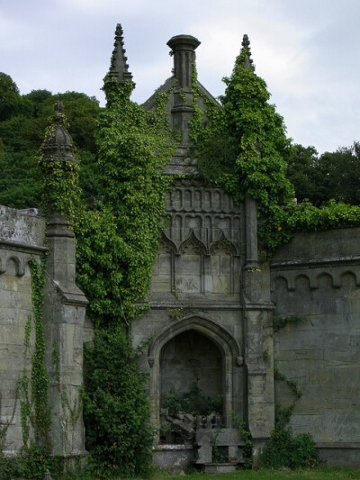 Ivy Castle Walls, Margam, Wales