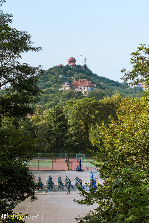 1891年这座城市刚刚诞生的时候，她叫胶澳，只有5万本地人口；1898年德国人来的时候，这座城市改名Tsingtau开始了最初的规划建设；1931年青岛最优秀的市长沈鸿烈将军来的时候，这座城市的文化经济迎来了黄金时代。