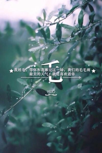 姓氏壁纸