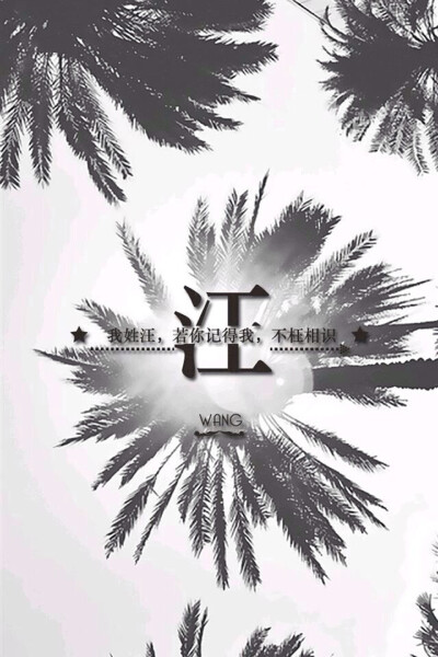 姓氏壁纸 文字