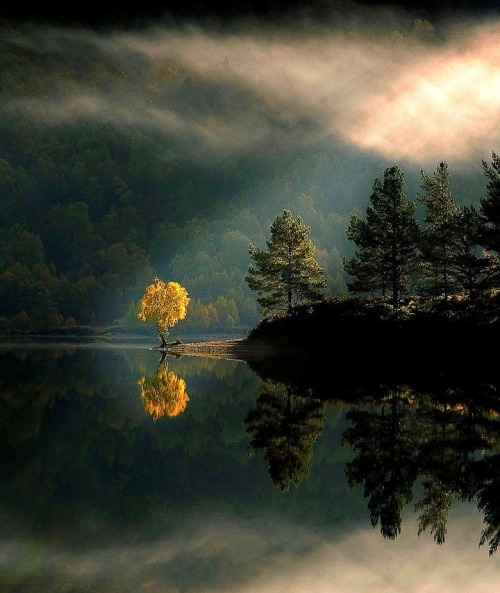 Reflection, Glen Affric, Scotland