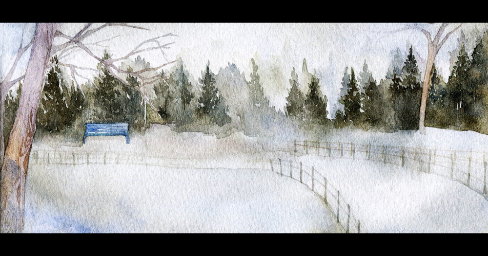 雪景 冬季