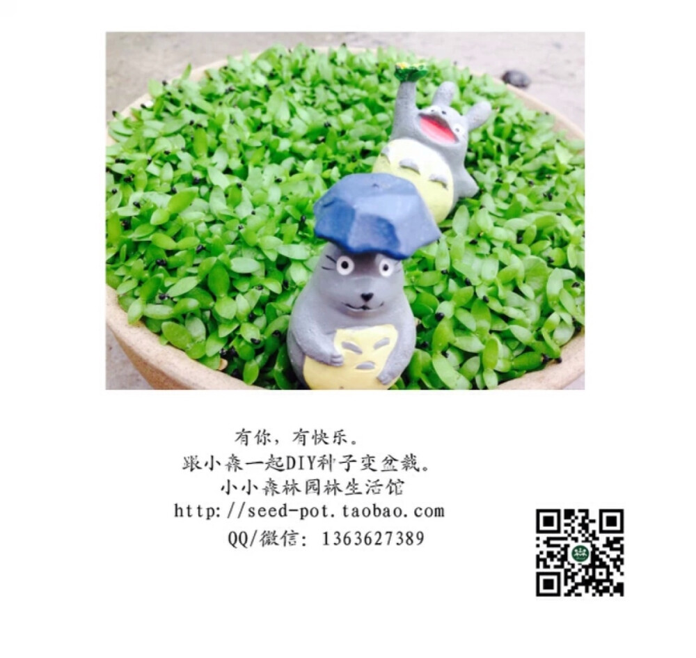 看成命在成长，和小森一起DIY种子变盆栽。 小小森林园林生活馆 http://seed-pot.taobao.com