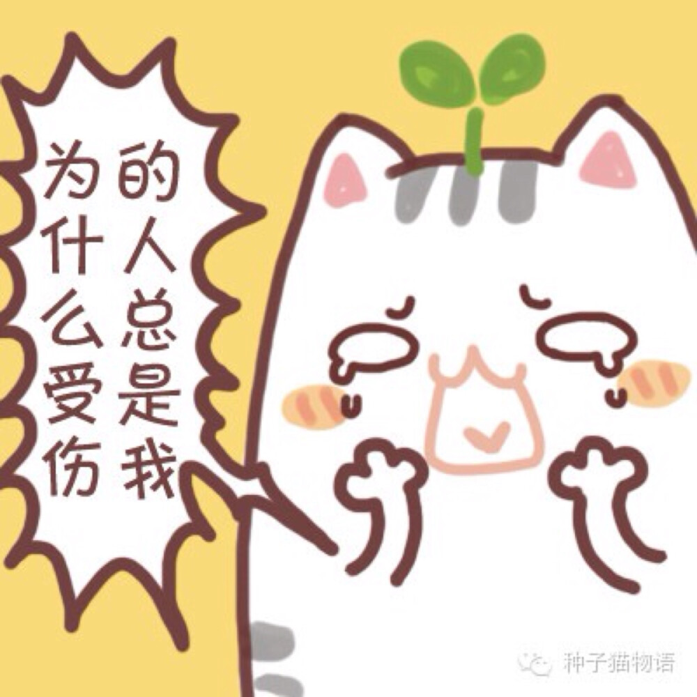 更多表情，壁纸关注微信订阅号@种子猫物语，新浪微博@seedcat种子猫