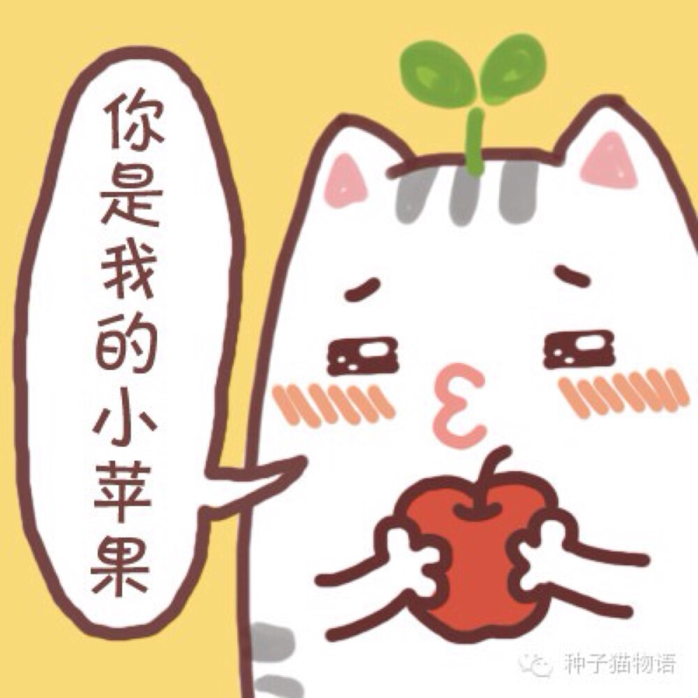 更多表情，壁纸关注微信订阅号@种子猫物语，新浪微博@seedcat种子猫