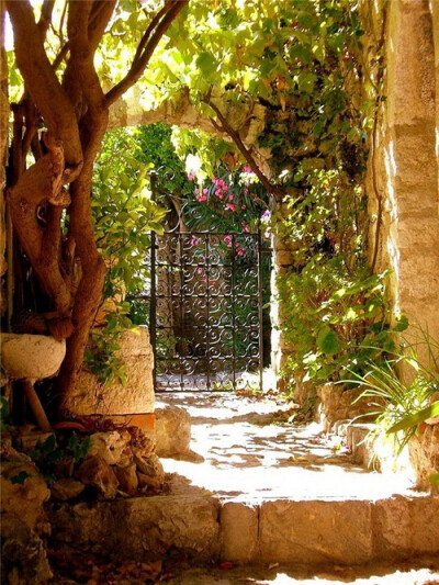 Garden Gate, Provence, France