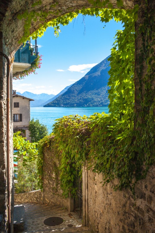 Ivy Street, Lake Lugano, Switzerland