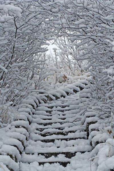 Snow Stairs, Alberta, Canada