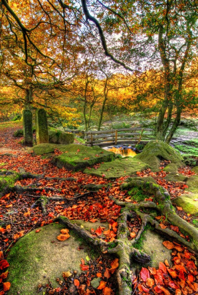 Autumn Bridge, Derbyshire, England