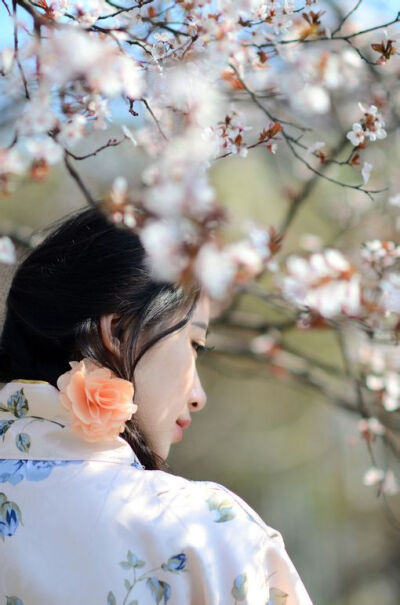 人面不知何处去，桃花你干嘛笑春风