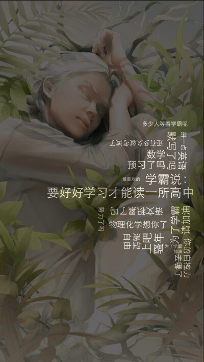 壁纸 学习 坚持