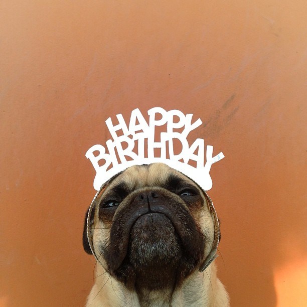 Norm by Jeremy Veach