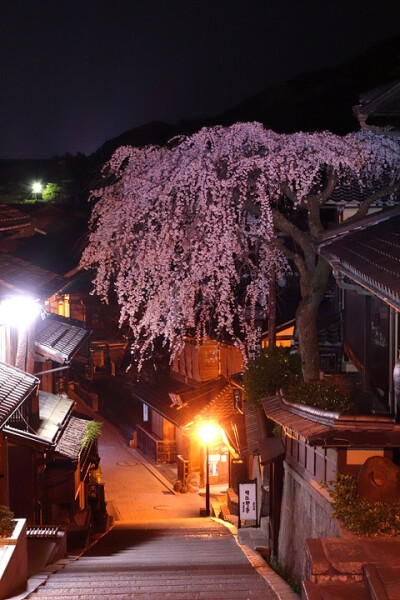 Cherry Blossom Stairs, Kyoto, Japan