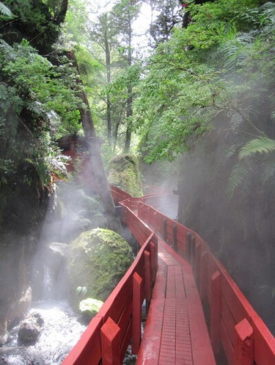 Red Bridge, Coñaripe, Chile