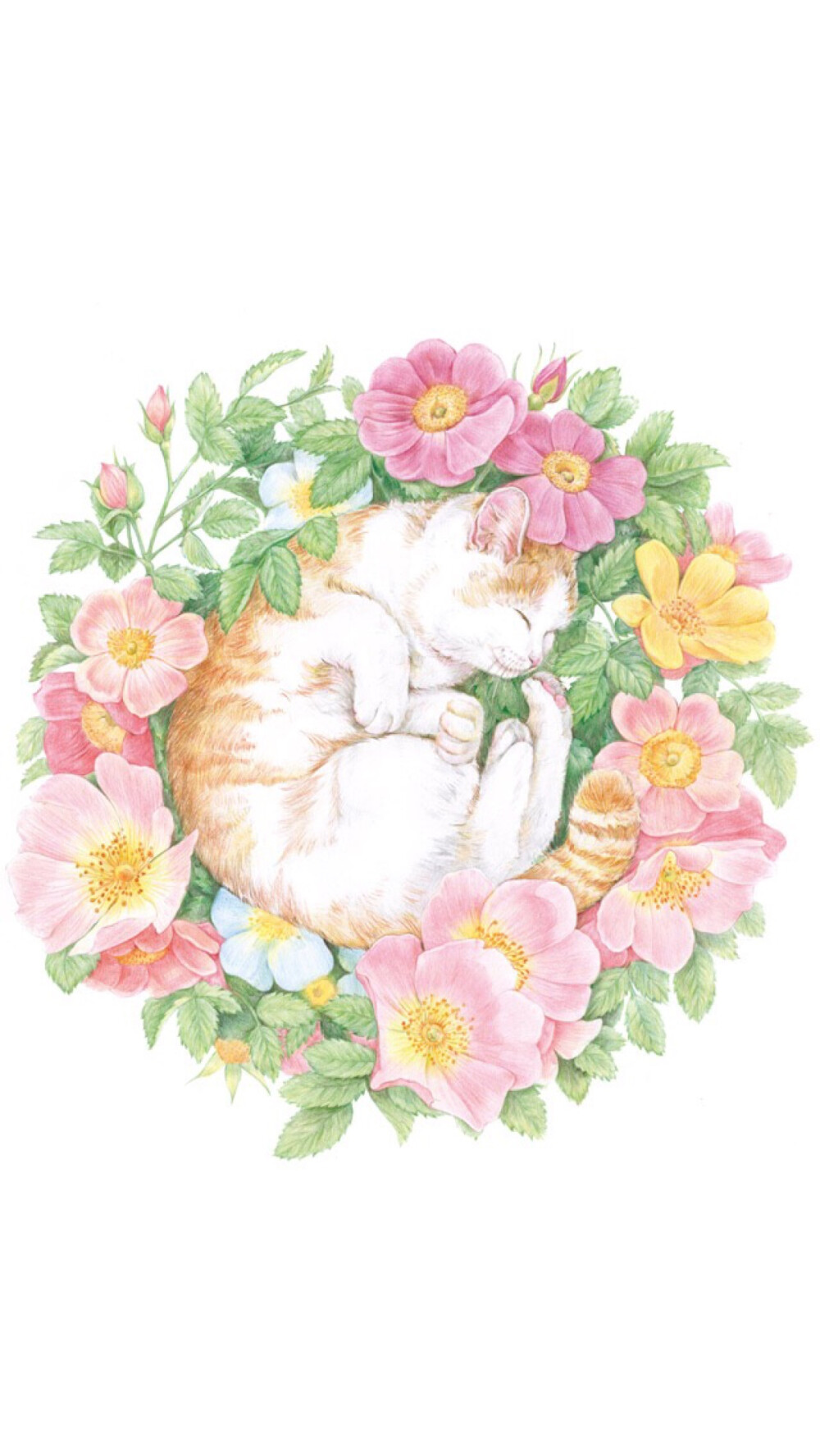 铅笔画猫咪与花