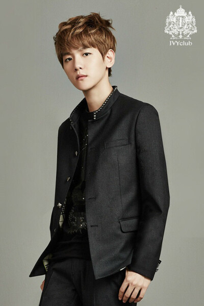EXO BAEKHYUN