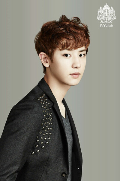 EXO CHANYEOL