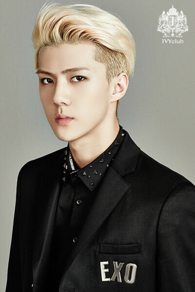 EXO SEHUN