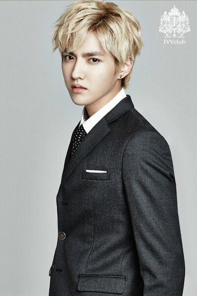 EXO KRIS