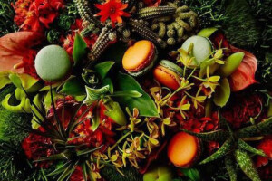 日本知名花艺家东信（Makoto Azuma）与法国马卡龙名店，素有甜品界的毕加索之称的Pierre Hermé跨界合作，藉由Makoto Azuma绚烂夺目的花艺和表现手法，展现出不同风味的马卡龙无与伦比的美妙滋味。