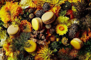 日本知名花艺家东信（Makoto Azuma）与法国马卡龙名店，素有甜品界的毕加索之称的Pierre Hermé跨界合作，藉由Makoto Azuma绚烂夺目的花艺和表现手法，展现出不同风味的马卡龙无与伦比的美妙滋味。