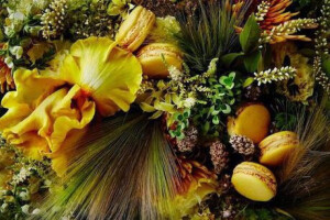 日本知名花艺家东信（Makoto Azuma）与法国马卡龙名店，素有甜品界的毕加索之称的Pierre Hermé跨界合作，藉由Makoto Azuma绚烂夺目的花艺和表现手法，展现出不同风味的马卡龙无与伦比的美妙滋味。